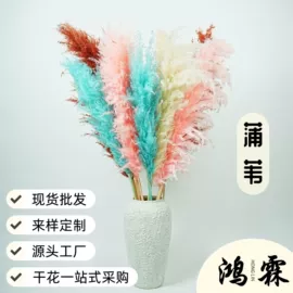 干花;永生花;竹木藤苇干草