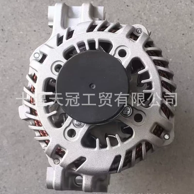 Generatorlar hissələri (Dinamo və detalları) Generator 68329852Aa