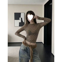 ԭ��ֲ�q�W�����c�����Ů2026�¿���L��T������ȴ���������