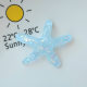 Flash starfish resin jewelry accessories DIY headdress hair clip stationery box mobile phone case material hole shoes shoes flower