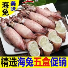 海兔满籽大小墨鱼仔海鲜水产鲜活冷冻笔管鱼全籽乌贼八爪鱼海兔子