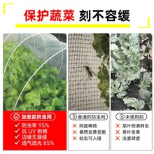 ✅防虫网种菜80目阳台菜园菜地蔬菜农村院子农用加密加厚纱网