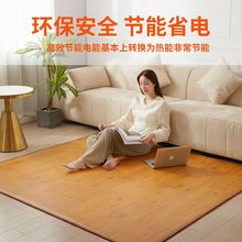順豐包郵石墨烯碳晶地暖墊電加熱地墊瑜伽墊取暖神器地暖墊家用