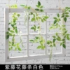Wisteria bars white 1 strip