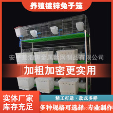 兔笼子养殖专用家用母兔繁殖窝自动清粪特大号新式专业兔子笼子