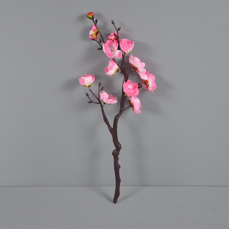 샤오시우 플럼 핑크