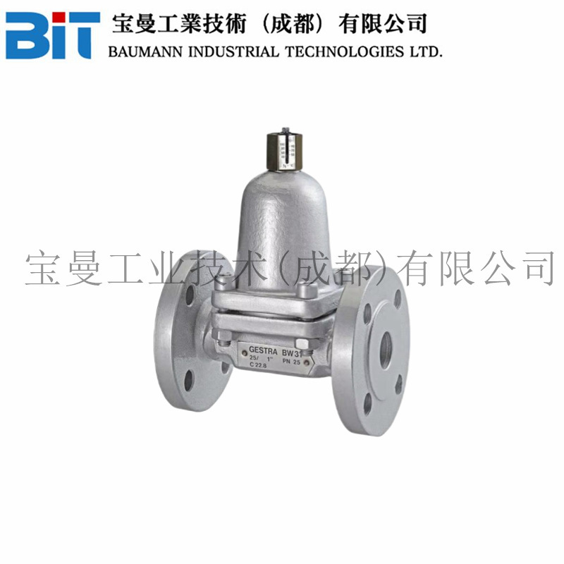 Germany imported GESTRA regulator BW series economic pilot return temperature control valve thermostat
