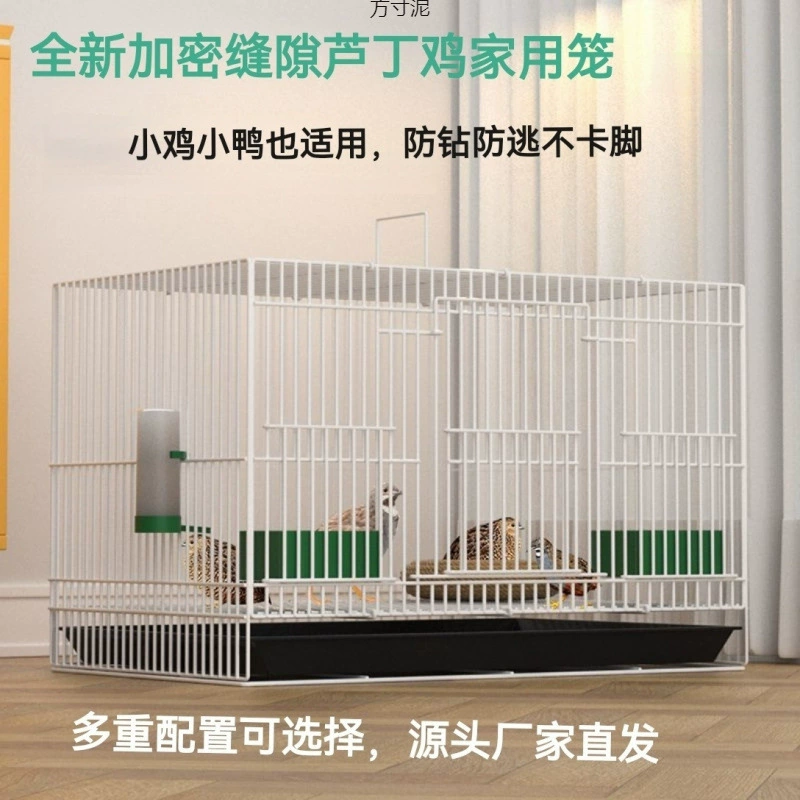 Рудинг Цыпленок Домашняя крытая специальная клетка Куриная утка Разведение Клетка Перепелиный Голубь Голубь Голландская Свинья Клетка Клетка