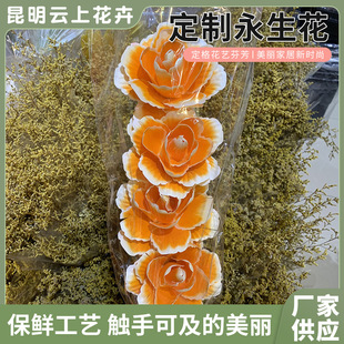 ����ĵ���ɻ������ֹ�ľƬ�����������滨����廨���滨ˇ