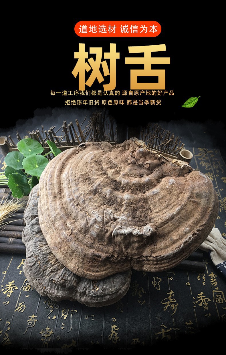 Dried Tree Tongue Lingzhi Shu She Zhi Bulk Whole Slices Traditional Herbal Decoction Ingredient 500g overview