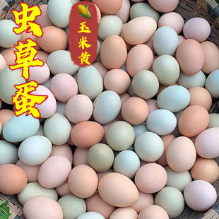 �����r��ɢ�B���u�����r�۾G�����u����ͯ�ЋD�I�B��������