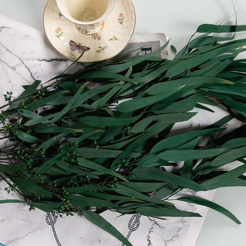 기장 과일 잎 녹색 100g