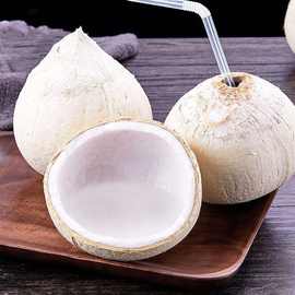 椰皇泰牛奶2-个装新鲜当季水果青汁香水多规格老椰子煲鸡批发厂厂