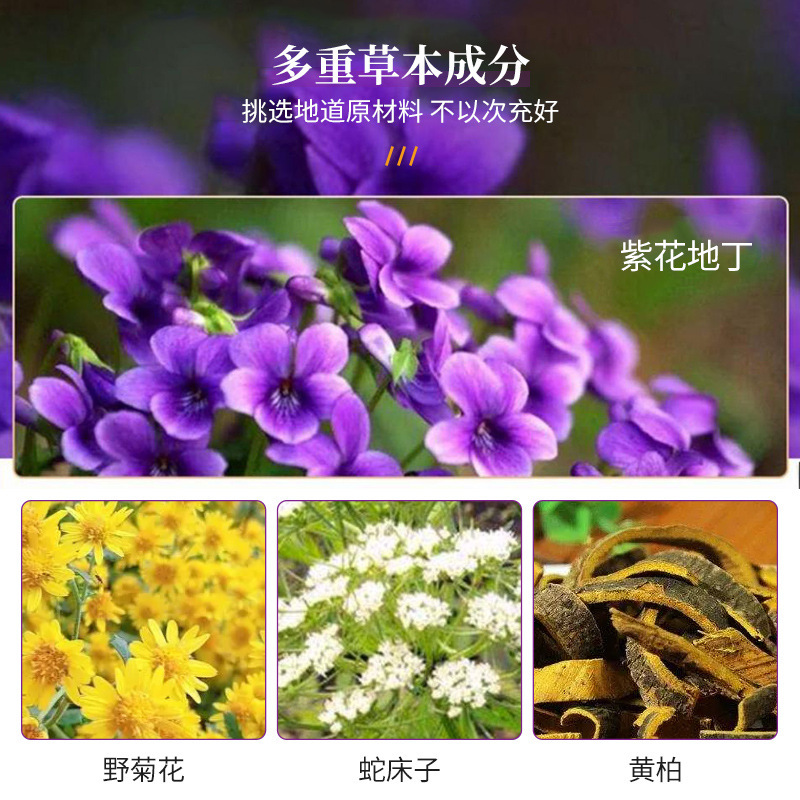 杏坂道枝紫花地丁抗菌クリーム30g皮膚掻痒蚊刺され外用クリームかゆみ止め抗菌クリーム|undefined