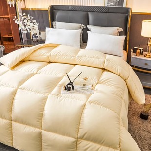 Down quilt 95 white goose down winter quilt thickened warm spring and autumn quilt core duck down quilt single dormitory quilt