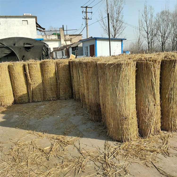 Теплицы для посадки теплоизоляционные травы