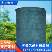 ���޶���2Ŀ�p߅����K����W ��Ҏ�����Nֳ��ˮ�a�Bֳ���o