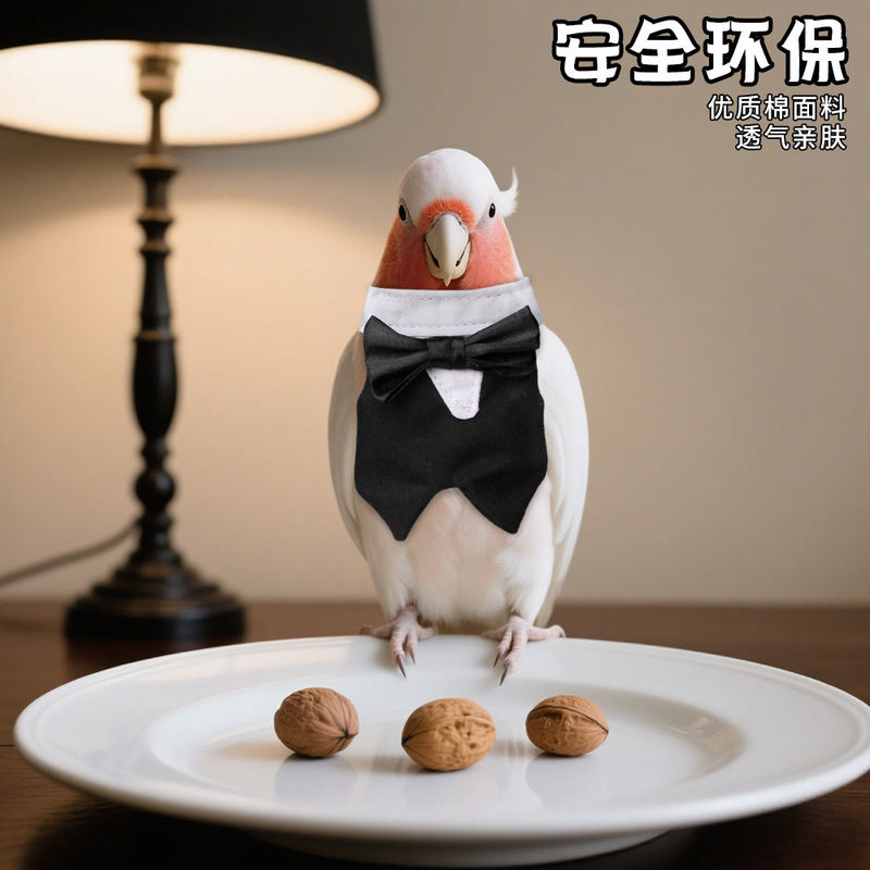 跨境新款鹦鹉外出防风帅气装扮礼服小宠鹦鹉领结西装搞怪变身装|undefined