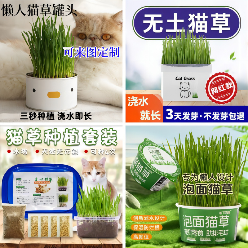 Cat grass hydroponics Cat grass suit Soilless planting Cat grass crystal ball planting Cat grass snacks Cat hair removal ball
