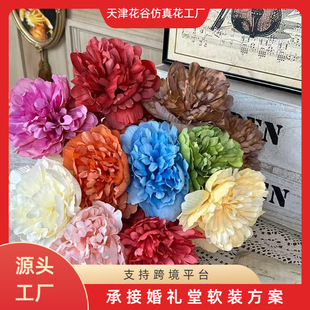 ����ĵ�� �^��ĵ������ ��̨�����bٻ� �Ƶ�͏d��������