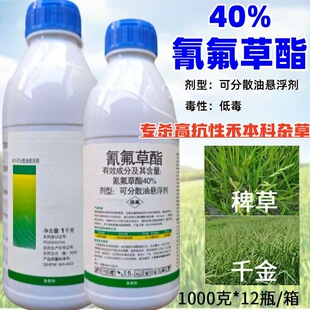 ���l40%��������ɷ�ɢ�͑Ҹ���1000�� �G�Ԛg����ǧ��޲��rș