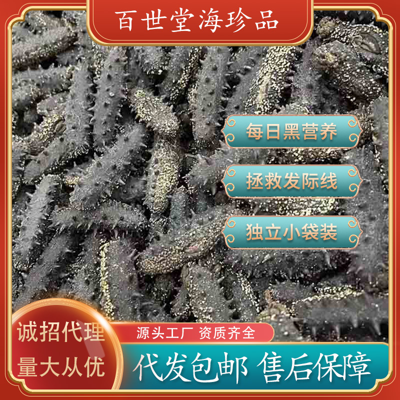 factory Supplying Dalian Dried sea cucumber dried food Sea cucumber 50g Dried ginseng Gift box precooked and ready to be eaten sea cucumber dried food