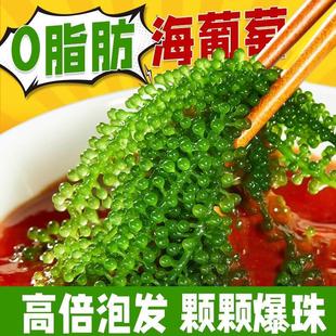 �������˹����x��ͯ�����߲˾Gɫ�~���u��˾�������r�����