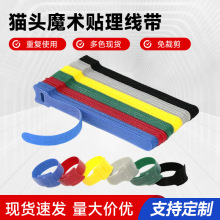 �F؛����������ħ�g�N���� T��؈�^�������ռ{����������������