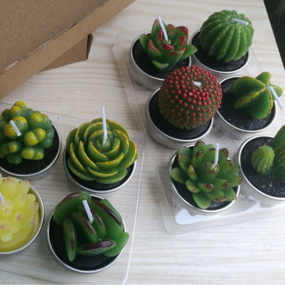 Nueva iluminación en caja vela simulación cactus flor vela planta suculenta vela Día de San Valentín té cera