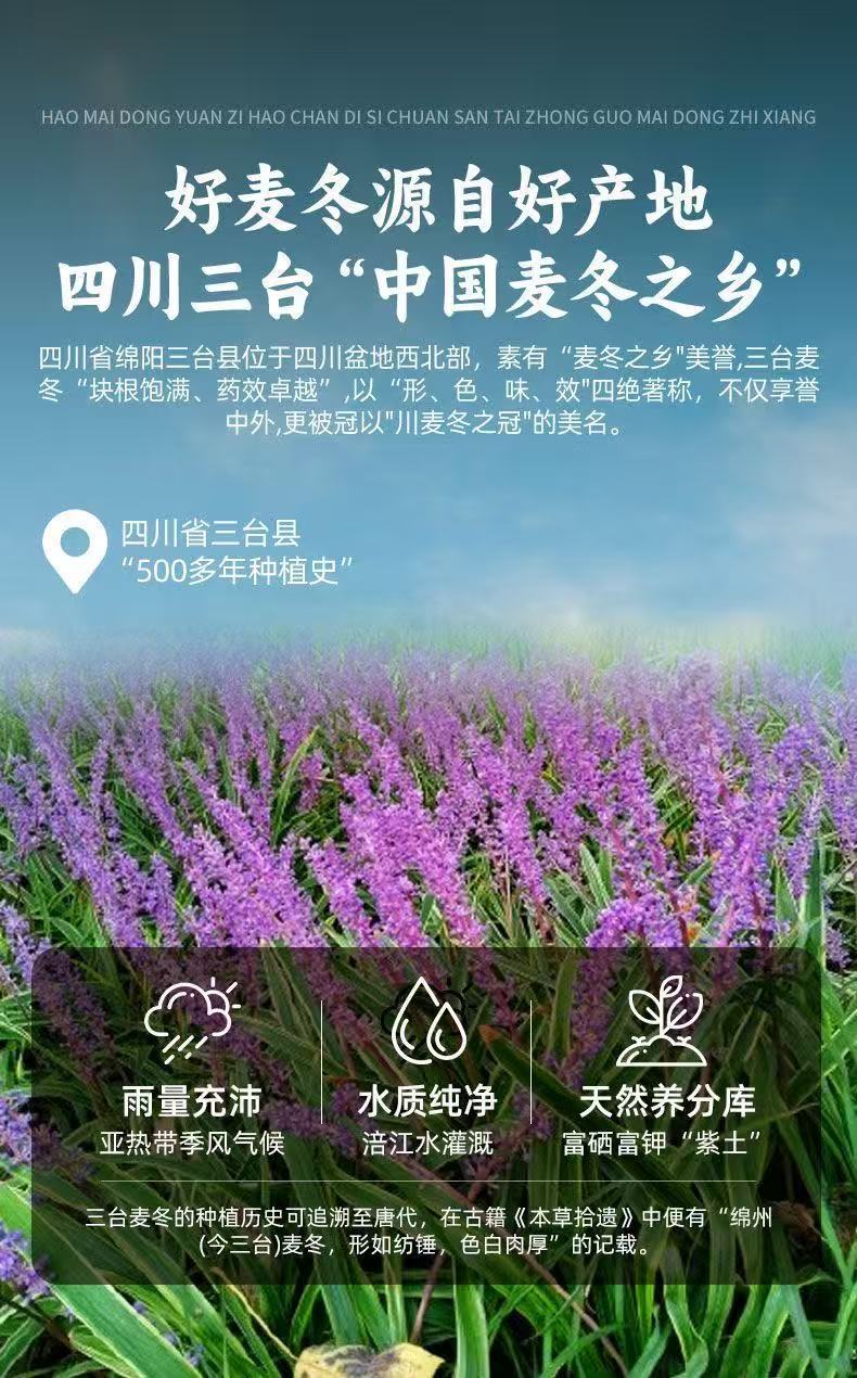 Sichuan Mai Dong Ophiopogon Root 100g Jar Dried Herb for Tea and Soup Sulphur-Free overview