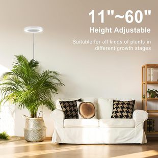 Amazon 6-inch Angel Ring Indoor Imitation Sun LED Plant Growth Light Fleshy Green Plant Flower Indoor Insert Light