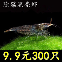 �ښ��r������坍���幤���^�p���r�����r����ϵ�ˮ���쾰