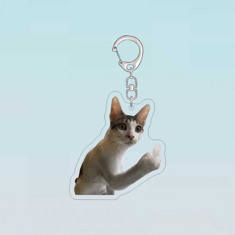 震え音爆火猫meme表情バッグのキーホルダーは抽象的なアクリルかばんのストラップを作って友達にプレゼントします|undefined