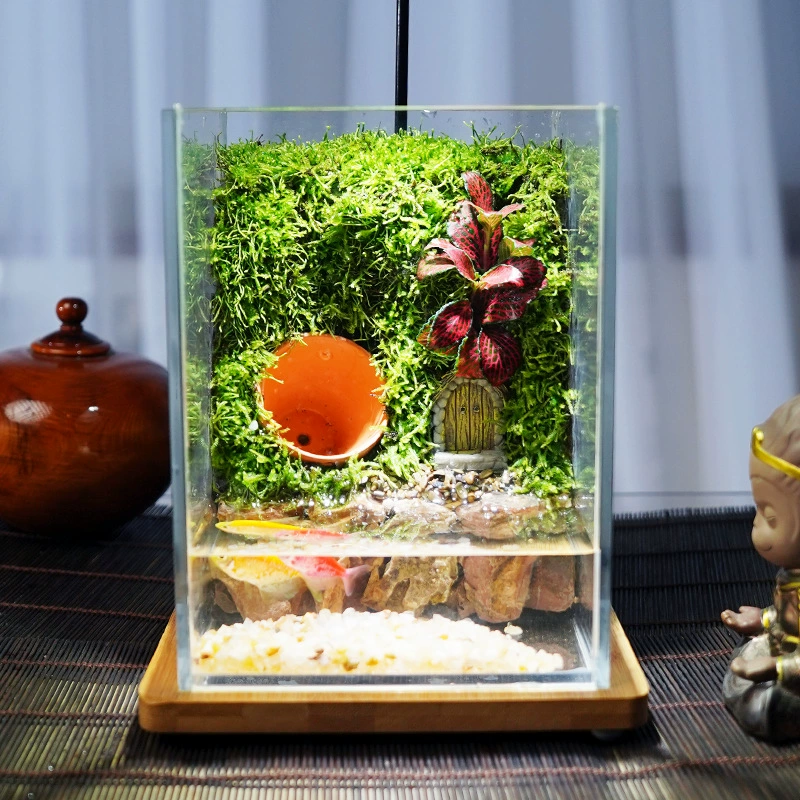 Новый аквариум для гостиной 2025 года может обеспечить экологическую ландшафтную планировку для домашнего настольного разведения черепах напрямую от производителей.