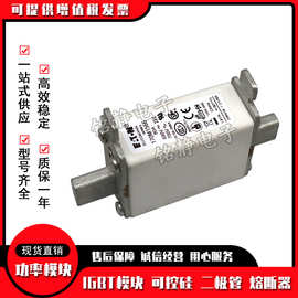 170M2708 170M2709 170M2710 170M2711 170M2712熔断器170M2713