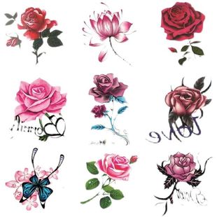 50���y���NŮ��ˮ�־��Ը�õ�廨������_���i��ins�L����3D�N��