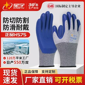 通用手套;其他手部防护;一次防护手套