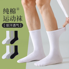 袜子男秋季毛圈袜纯棉篮球袜毛巾底运动袜中筒袜吸汗透气防臭长袜