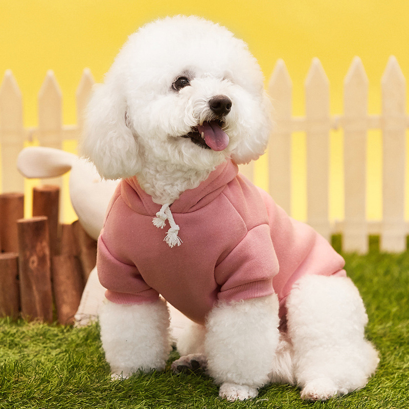 New Puppy Clothing Universal Pomeranian Bichon Frize Dog Teddy Casual Two-Legged Hooded Velvet Sweatshirt Manufacturer Wholesale