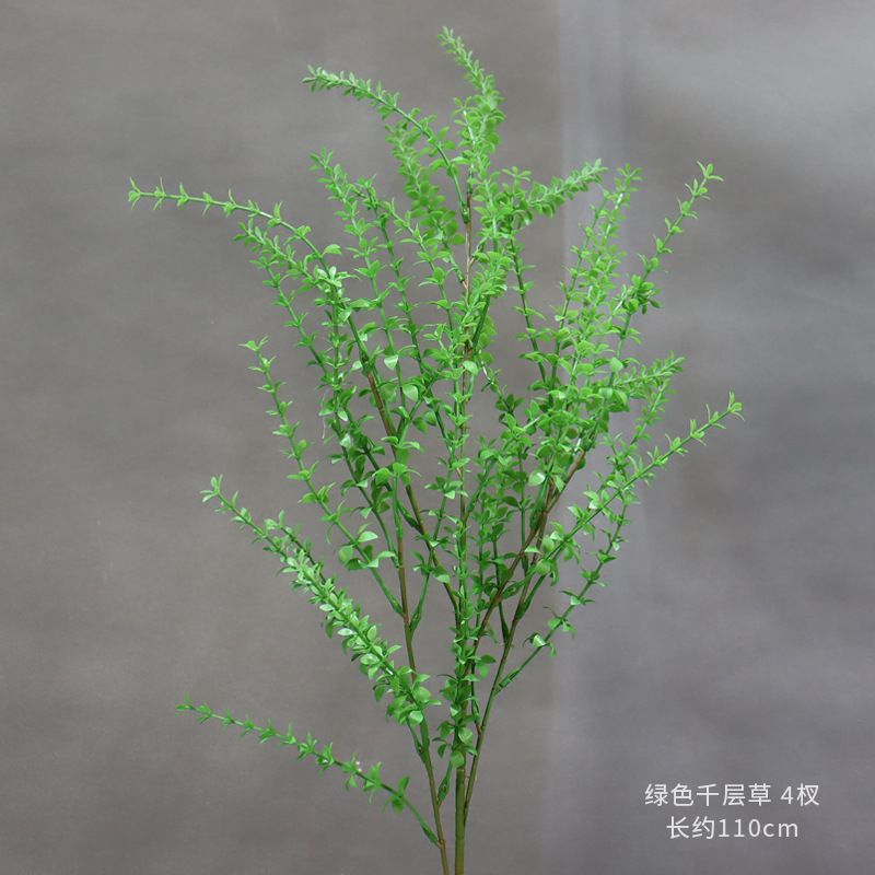 녹색 멜라루카 잔가지