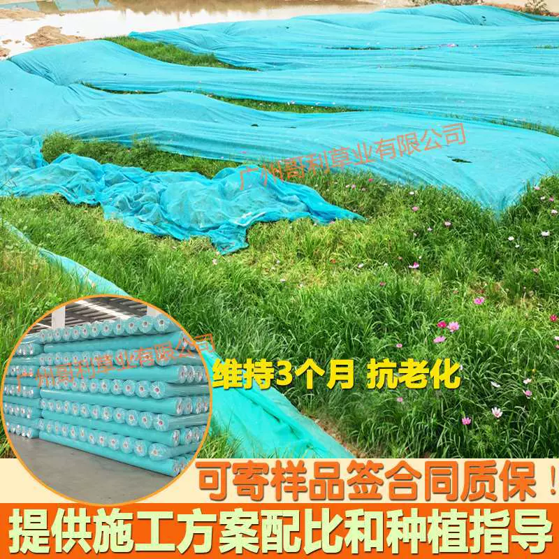 园林绿化无纺布种植用鱼塘边坡绿色草坪布盖土网布护坡无纺布整卷
