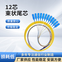 ���w����12о����β�wSC ���m�P���w��ODF�侀��SC��ģ��ż�