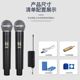 S-58 stage-level dual microphones [tianlai zhiyin]