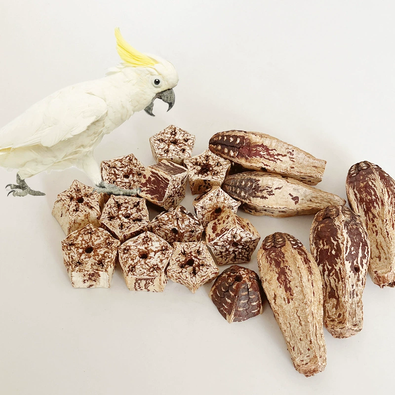 Попугай кусает фрукты игрушка для птиц натуральная карамбола пятизвездочный фрукт снимает душный шлифовальный рот DIY пейзаж принадлежности для попугаев