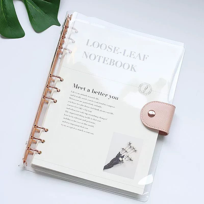 Removable PVC Notebook Cover for A6, A5, B5 Sizes with Gold, Silver, or Black Clips