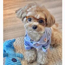 ����˯��̩��ѩ�{�����ޱ��ܹ��·����|�_�ؾӼҷ��W�t؈���·�