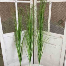 �����JȔ�� ��β�� ���[�ݾƵ��Ɍ��zӰ�쾰��cܛ�b�b���ֲ��