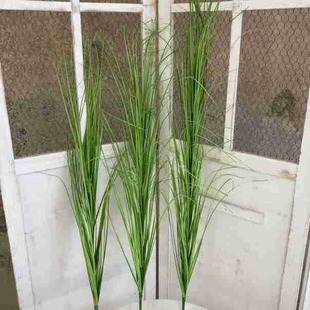 �����JȔ�� ��β�� ���[�ݾƵ��Ɍ��zӰ�쾰��cܛ�b�b���ֲ��