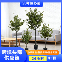 定制跨境拆装款仿真尤加利桉树室内酒店落地橱窗落地植物装饰摆件