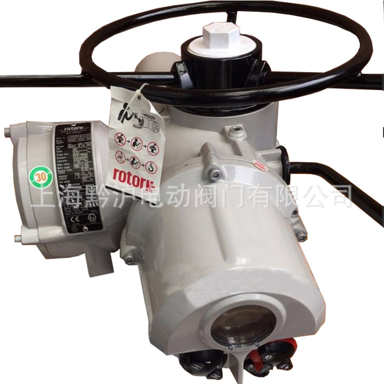 Rotork 英国罗托克电动执行器IQ10-F10-B4执行机构IQ12-F10-B4